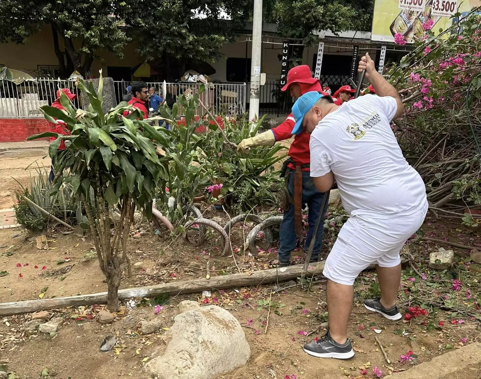 Imagen representativa de la renovación en el Parque Virgen del Carmen