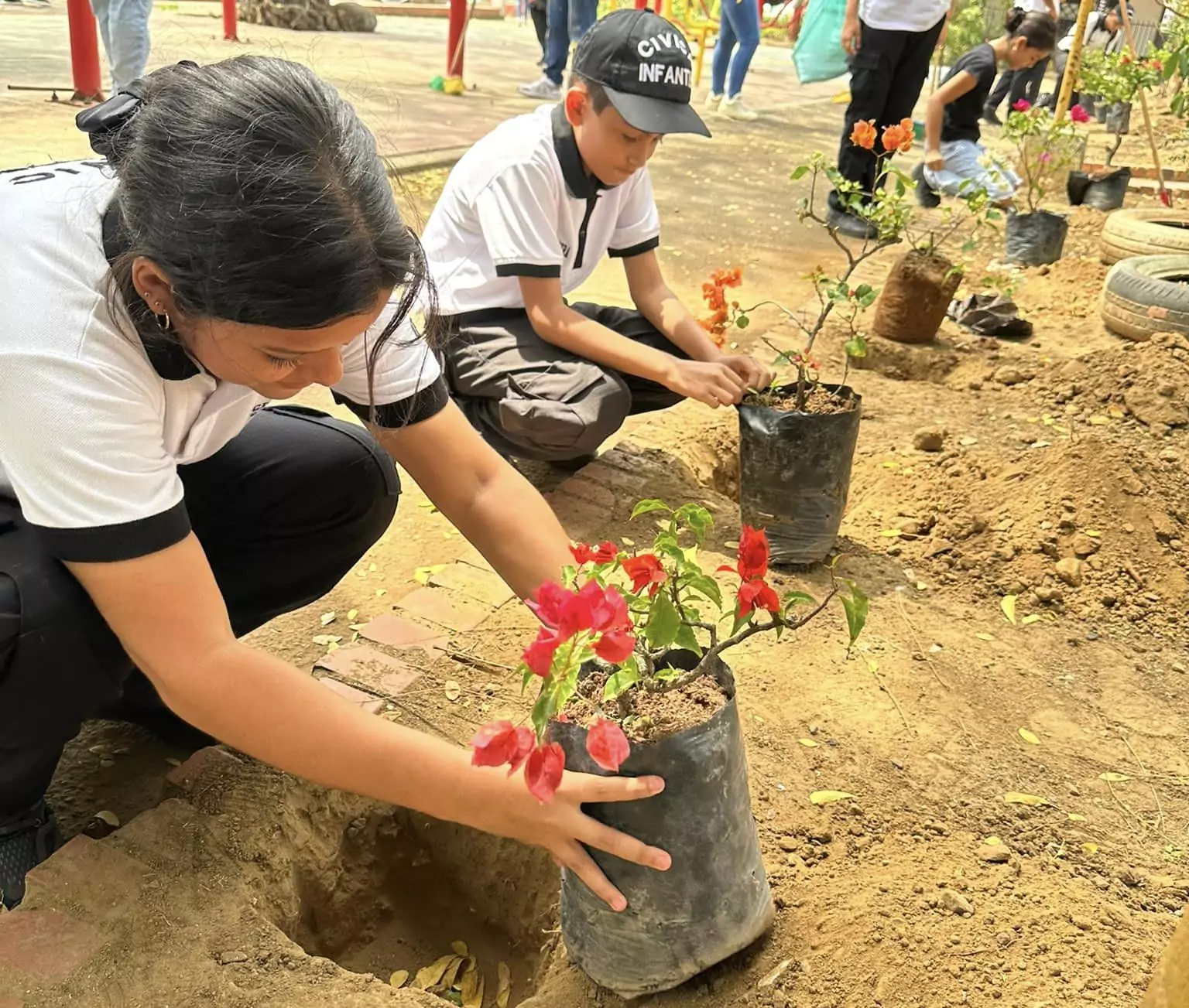 Imagen 1 representativa de la renovación en el Parque Virgen del Carmen